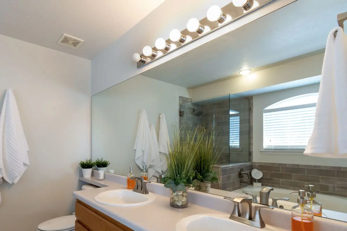 Large bathroom mirror with a plant softening the space