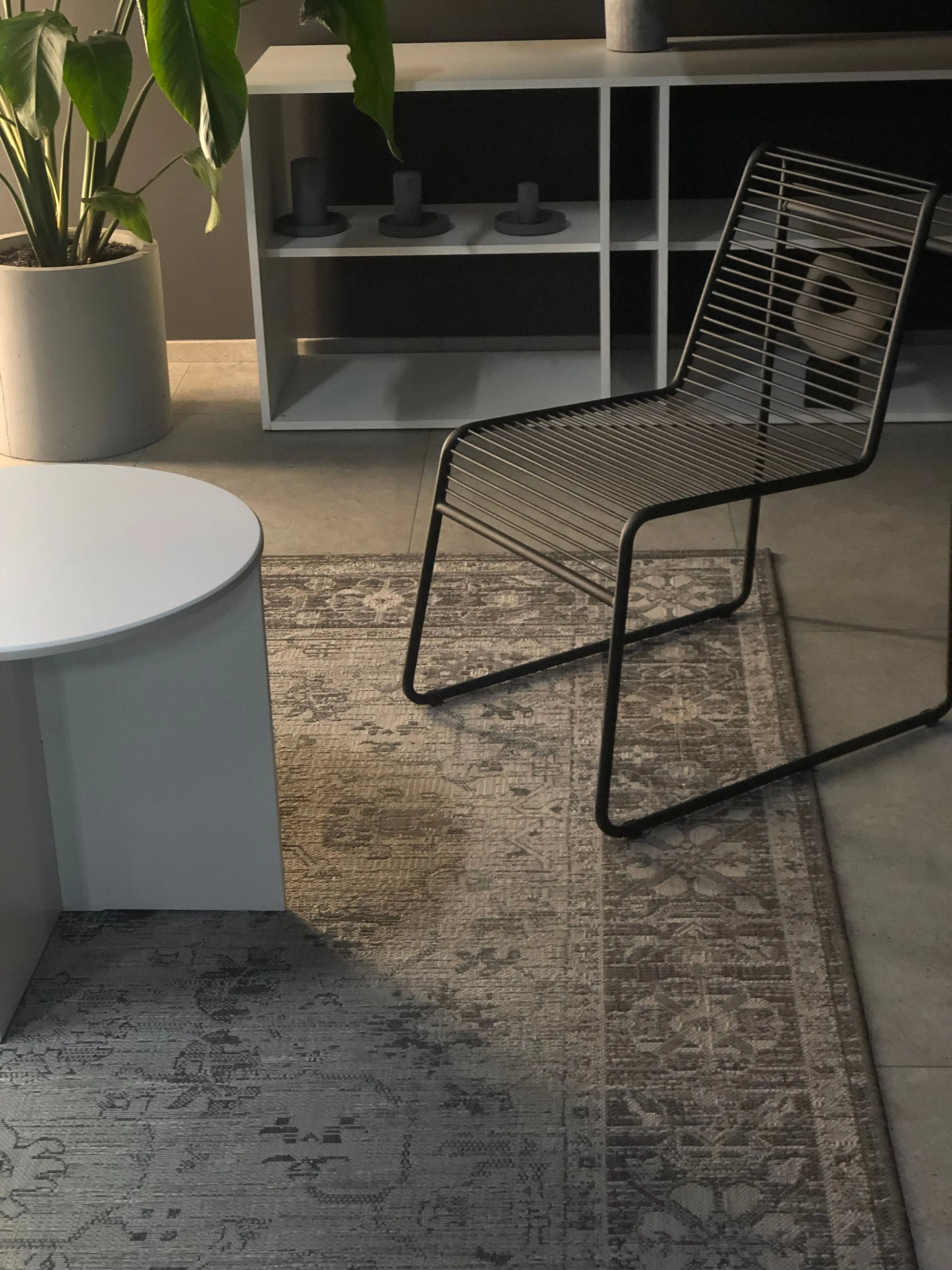 Shop rugs